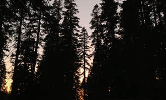 Camping near Findley Campground: Lindsey Lake Campground, Emigrant Gap, California