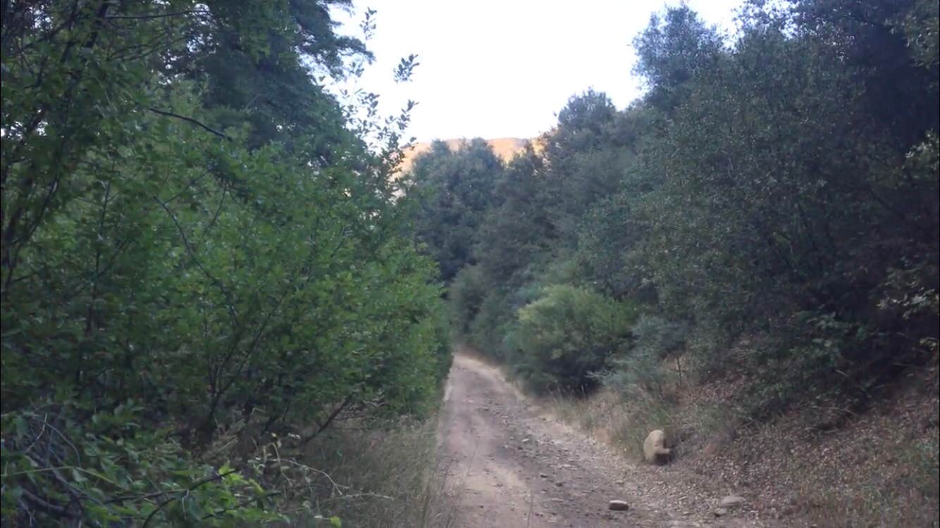 Camper submitted image from Cherry Creek Campground - 2