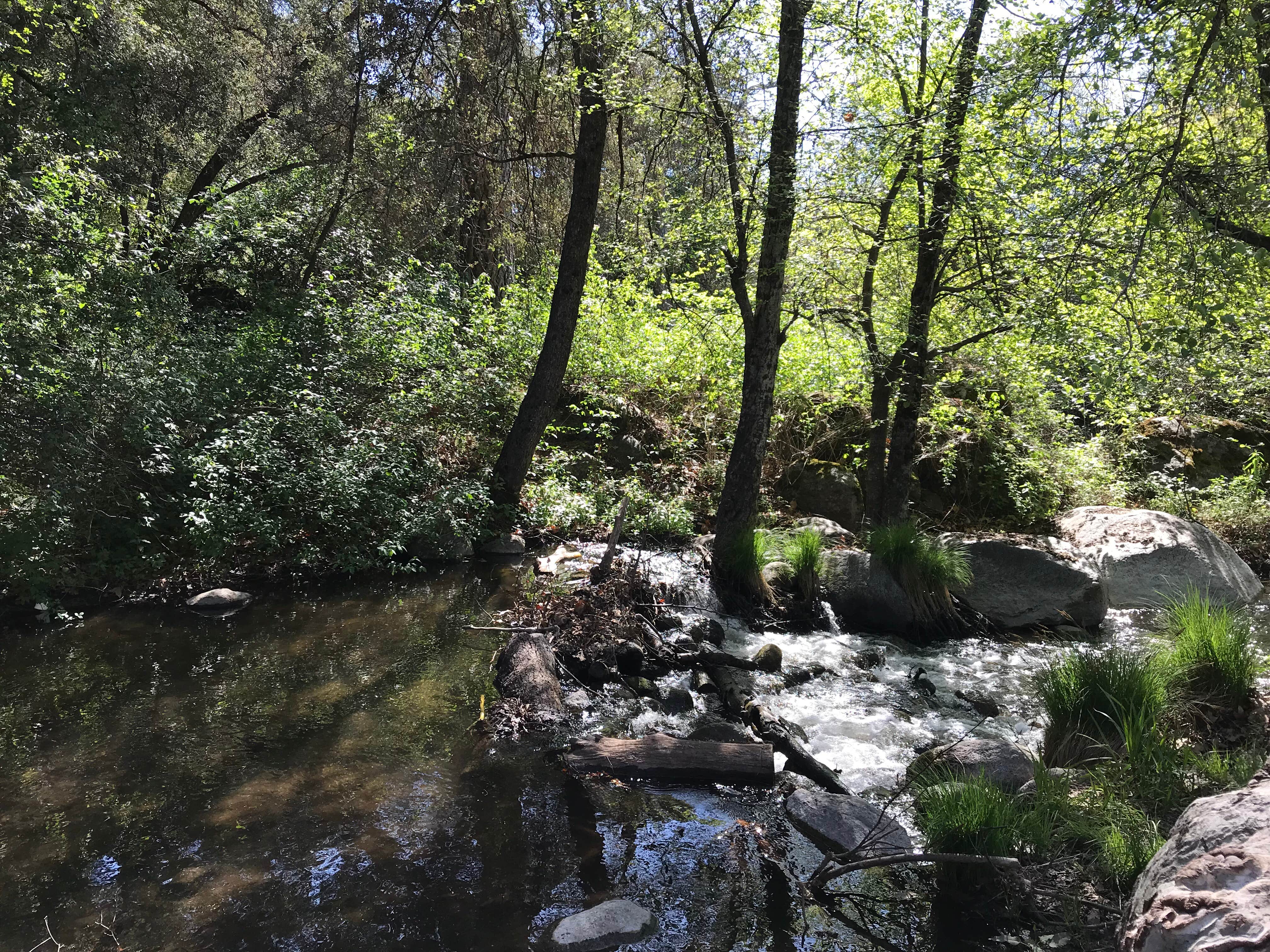 Camper-submitted photo at Leavis Flat Campground near Porterville, CA