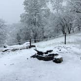 Review photo of Laguna Mountain Campground by Jessica P., August 23, 2019