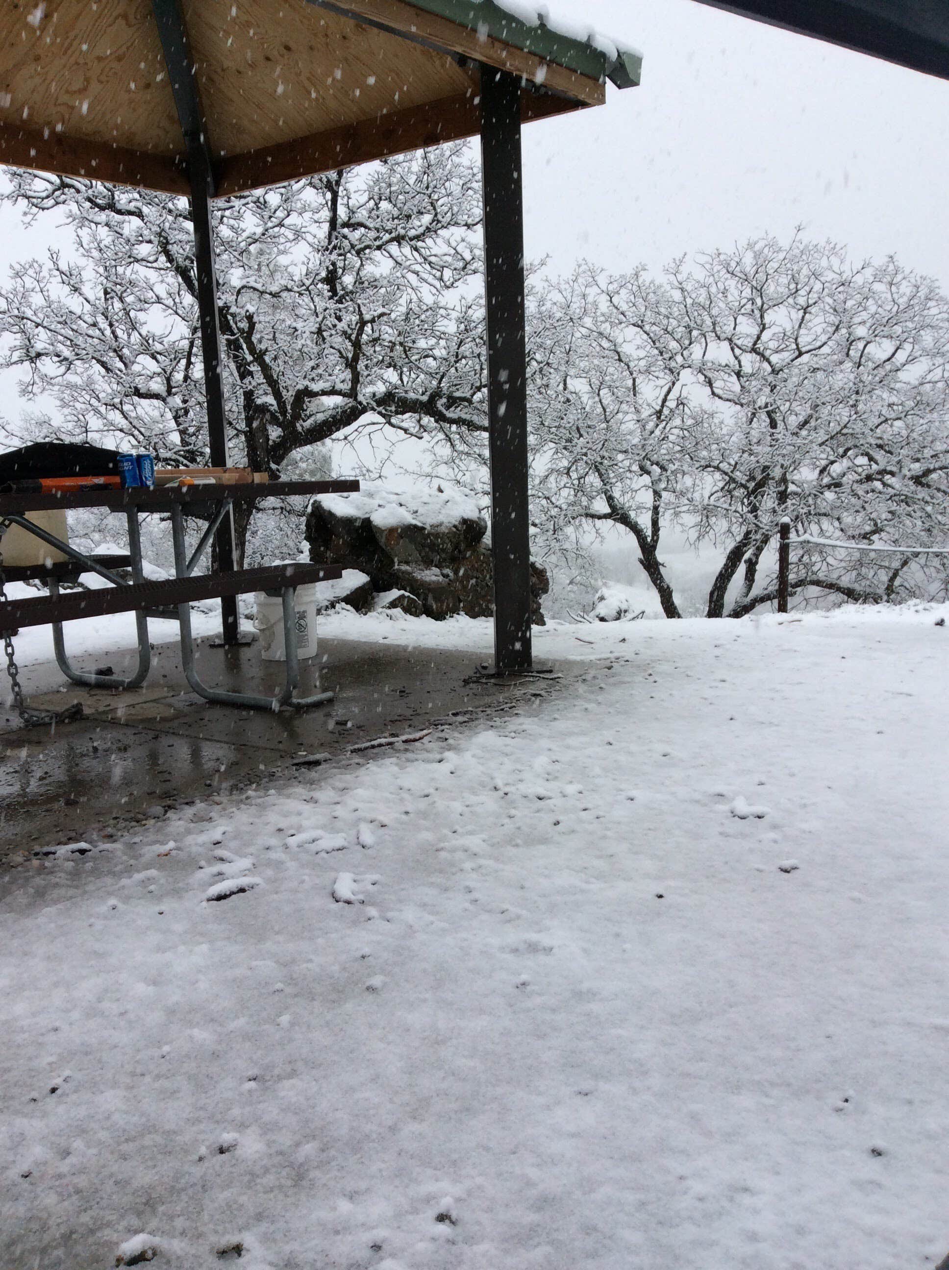 Camper submitted image from Laguna Mountain Campground - 5