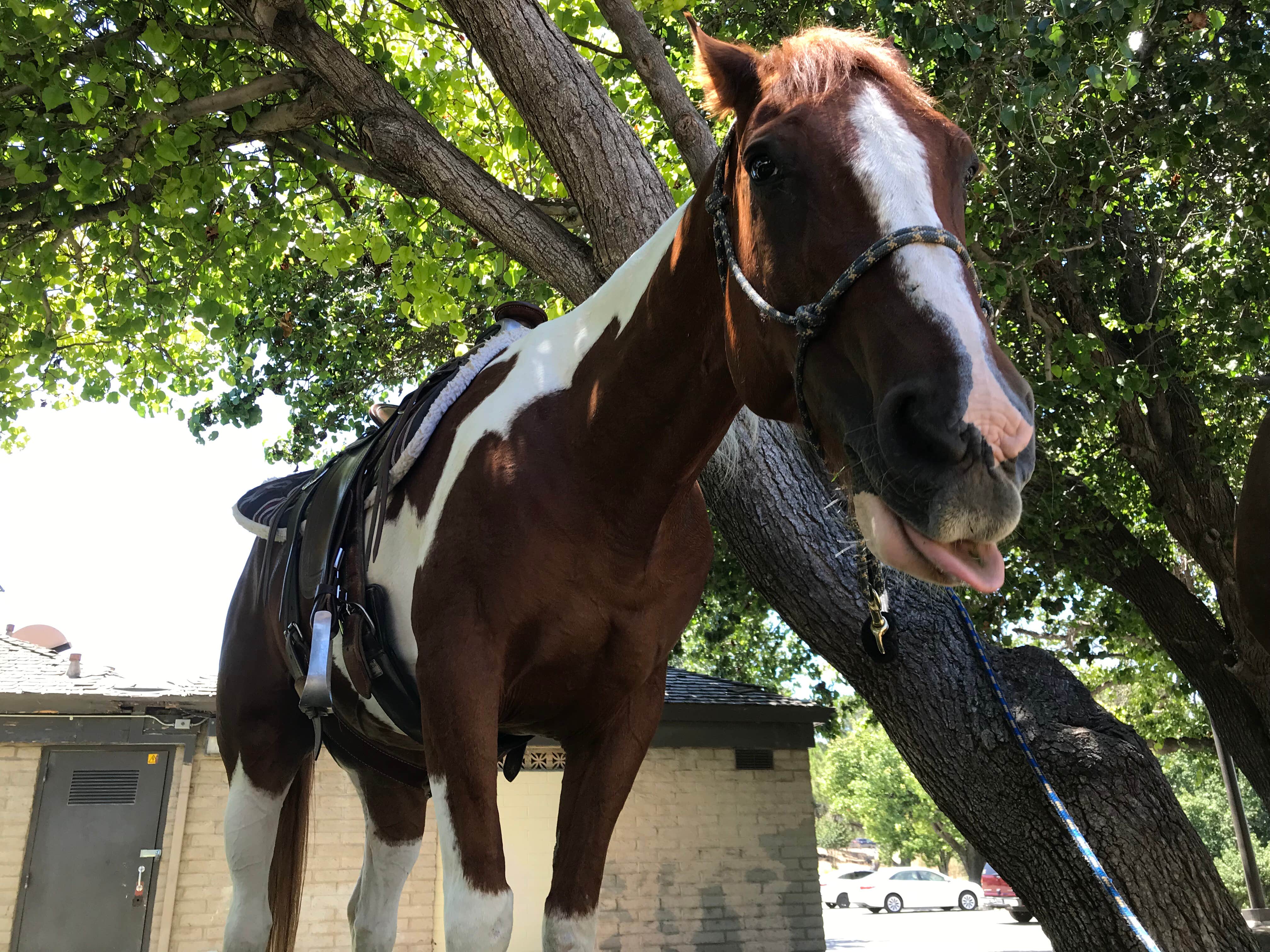Camper-submitted photo at Bonelli Bluffs near Lancaster, CA