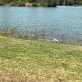 Review photo of Bonelli Regional Park by Jessica P., May 8, 2020