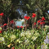 Review photo of Bonelli Bluffs by Jessica P., May 8, 2020