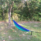 Review photo of Nine Eagles State Park Campground by Matt S., September 22, 2017