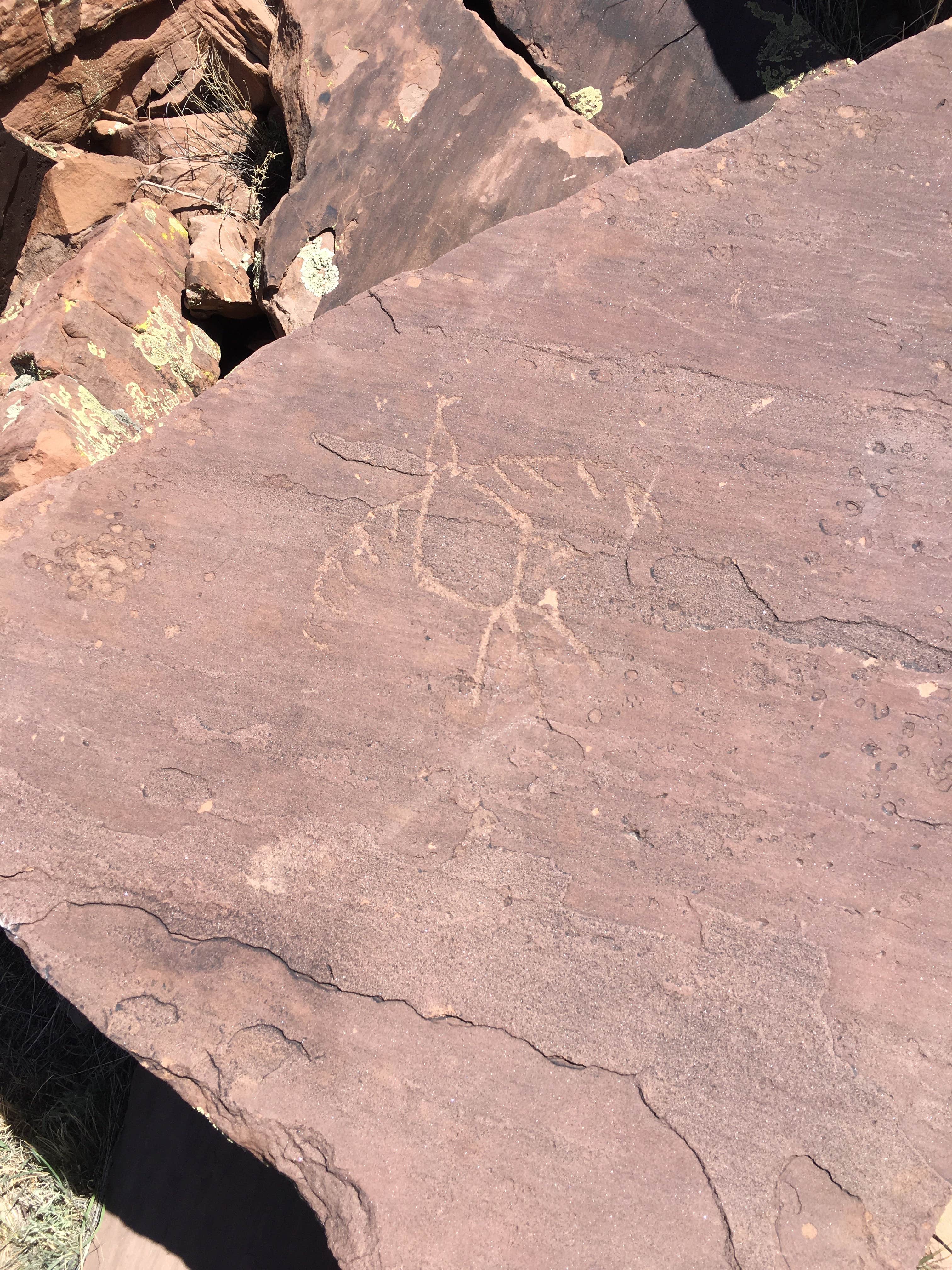 Camper-submitted photo at Lyman Lake State Park Campground near Lakeside, AZ