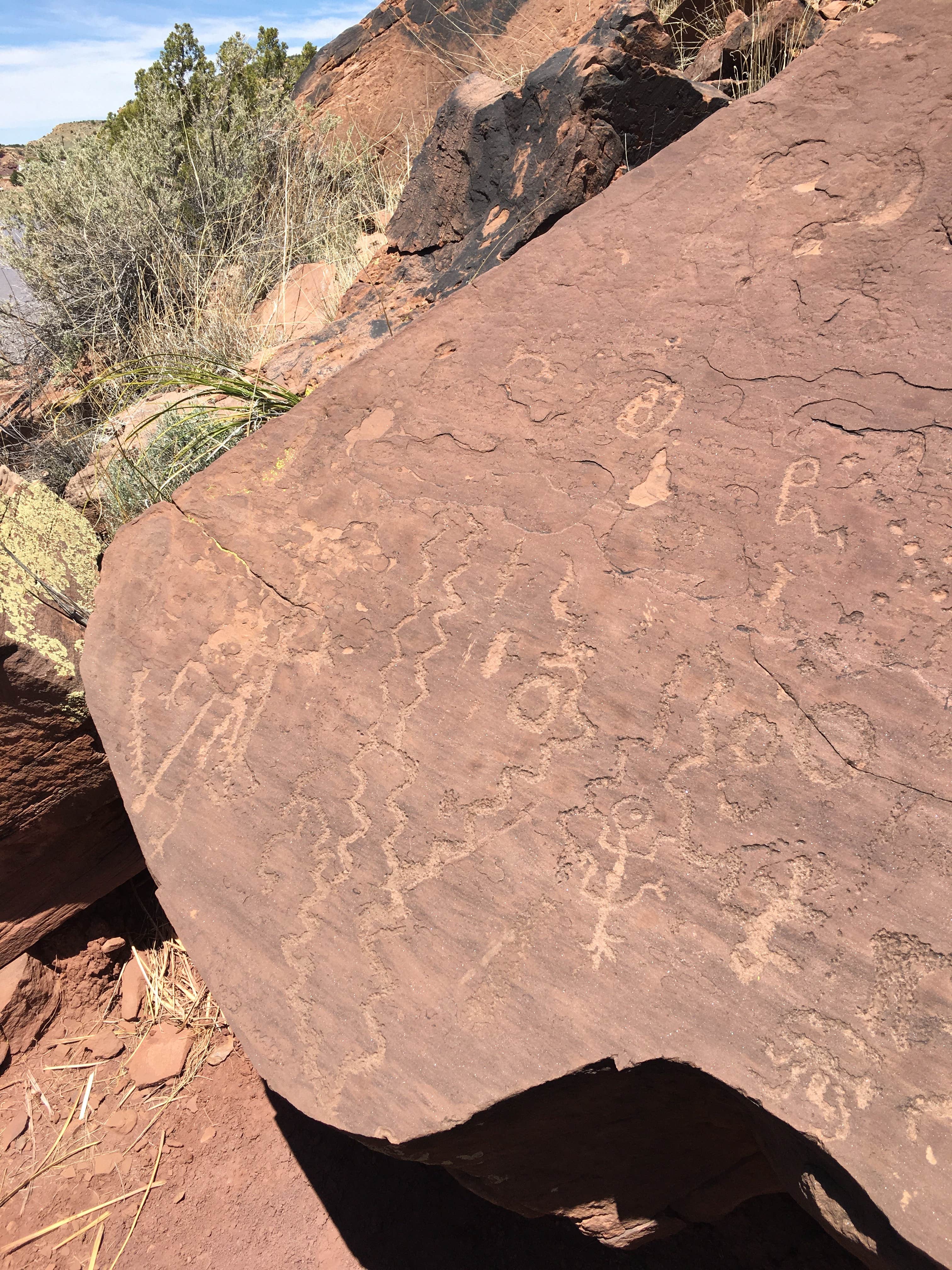 Camper-submitted photo at Lyman Lake State Park Campground near Lakeside, AZ