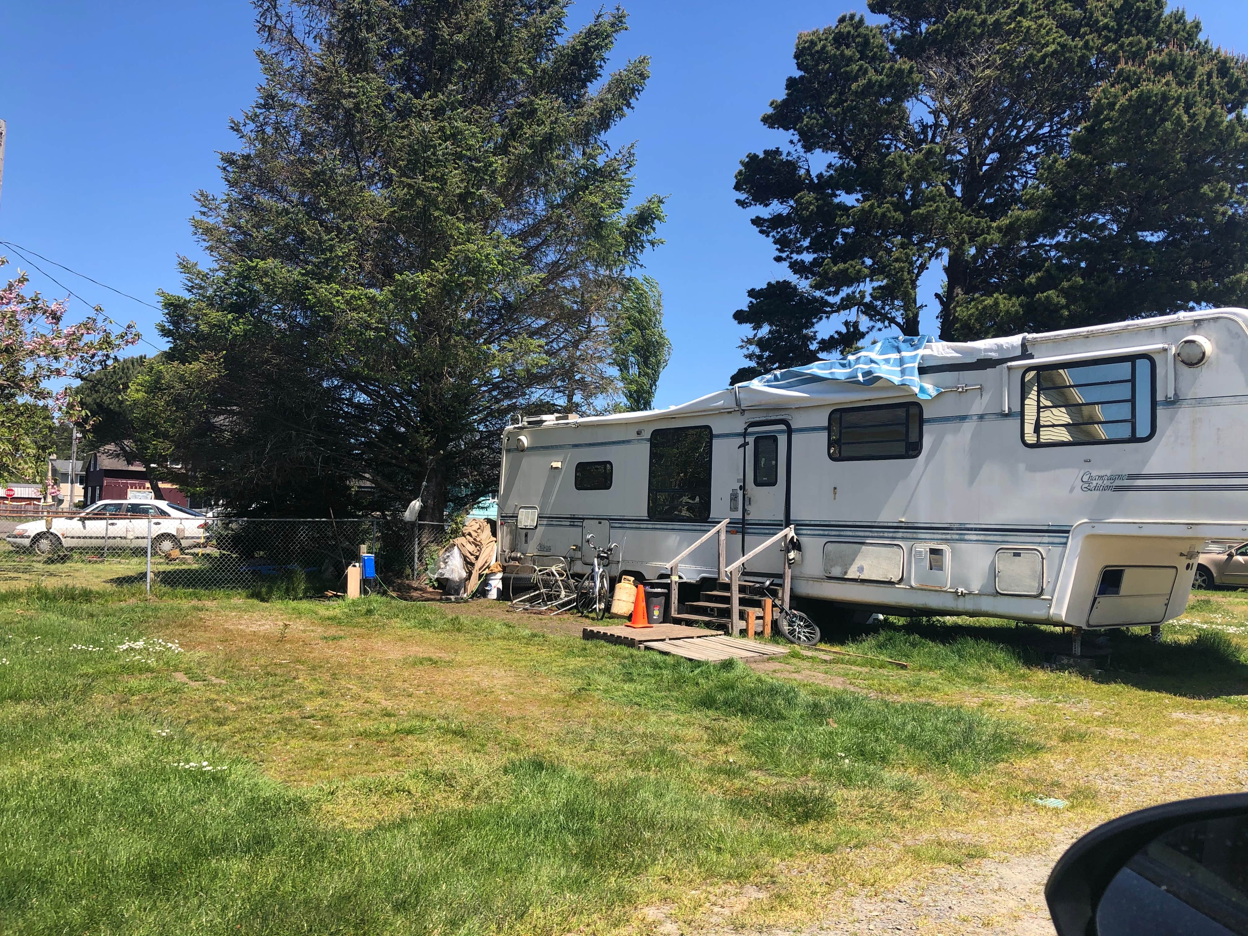 Alicia F.'s photo at Driftwood RV Park LLC near Ocean Park, WA