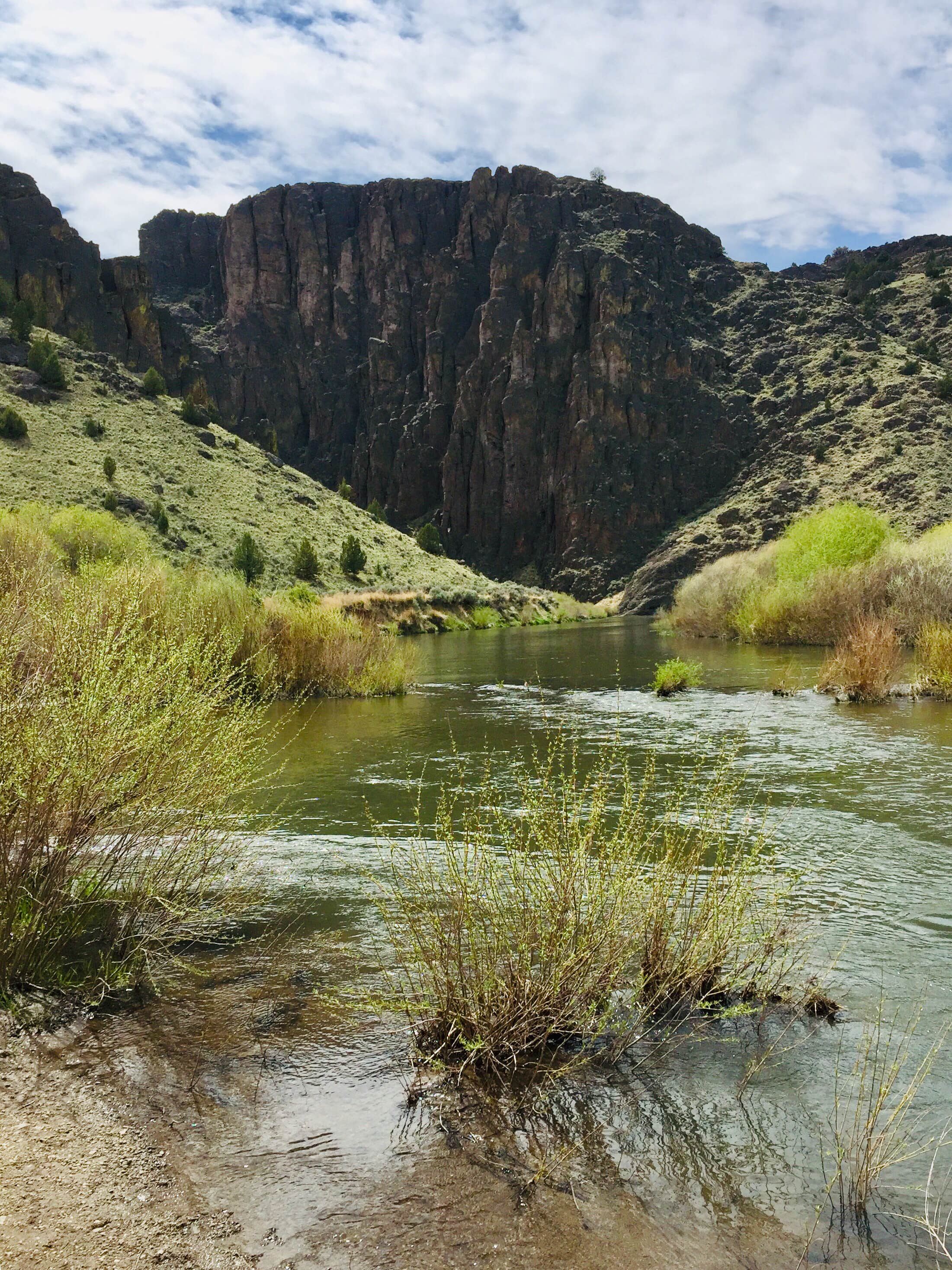 Camper submitted image from North Fork Campground - 4