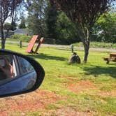 Review photo of Columbia Shores RV Park by Alicia F., May 8, 2020