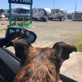 Review photo of Oceanic RV Park by Alicia F., May 8, 2020