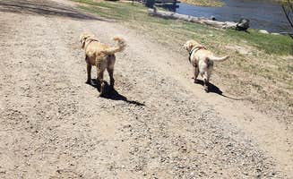 Amy C.'s photo of camping with pets at Sweetwater River Resort near Howard, CO