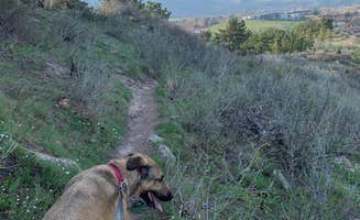 Gordon D.'s photo of camping with pets at Dakota Ridge RV Park near Littleton, CO