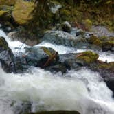 Review photo of Panorama Point Campground by Danielle S., June 30, 2016