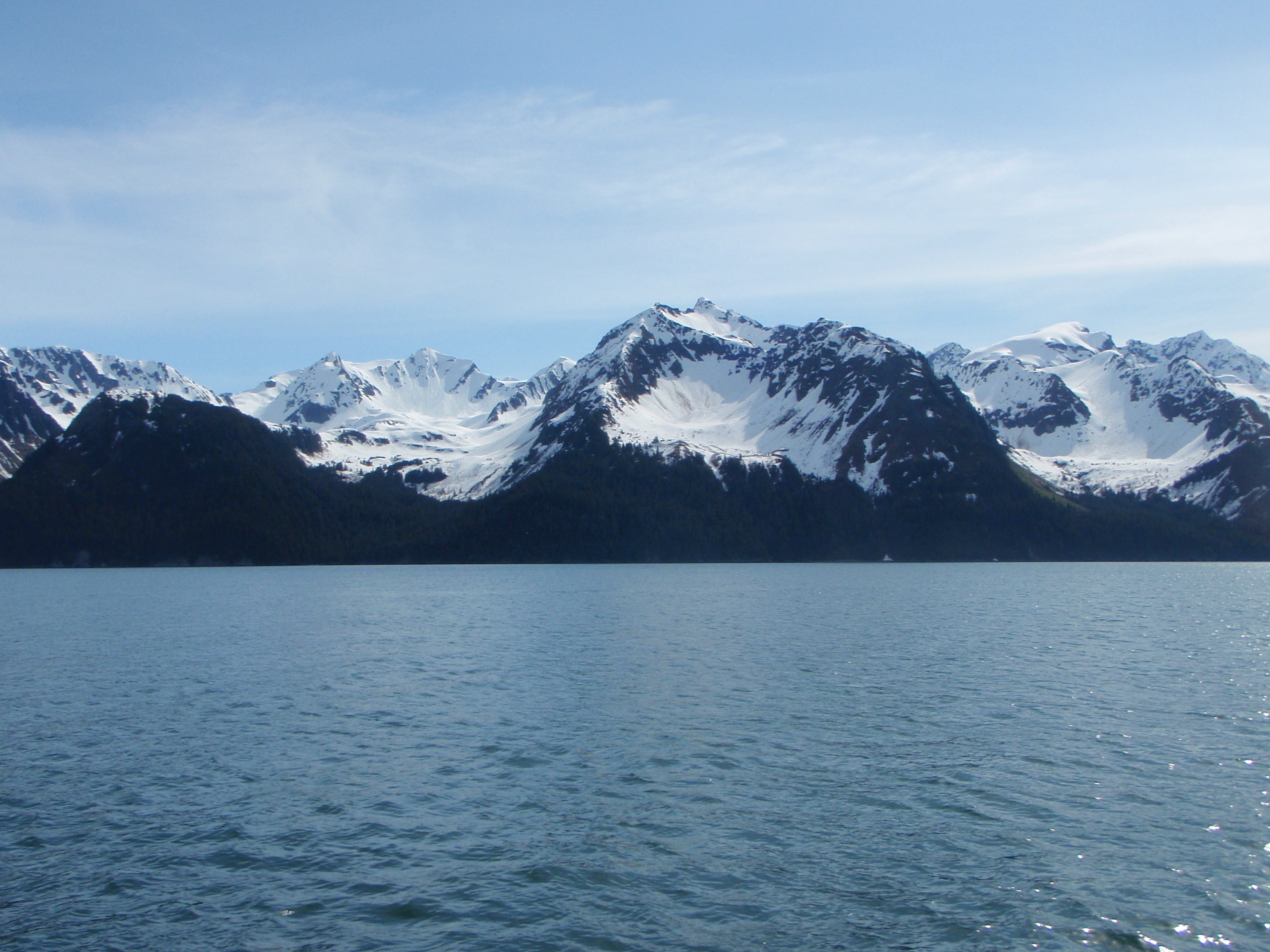 Camper submitted image from Exit Glacier Campground — Kenai Fjords National Park - 5
