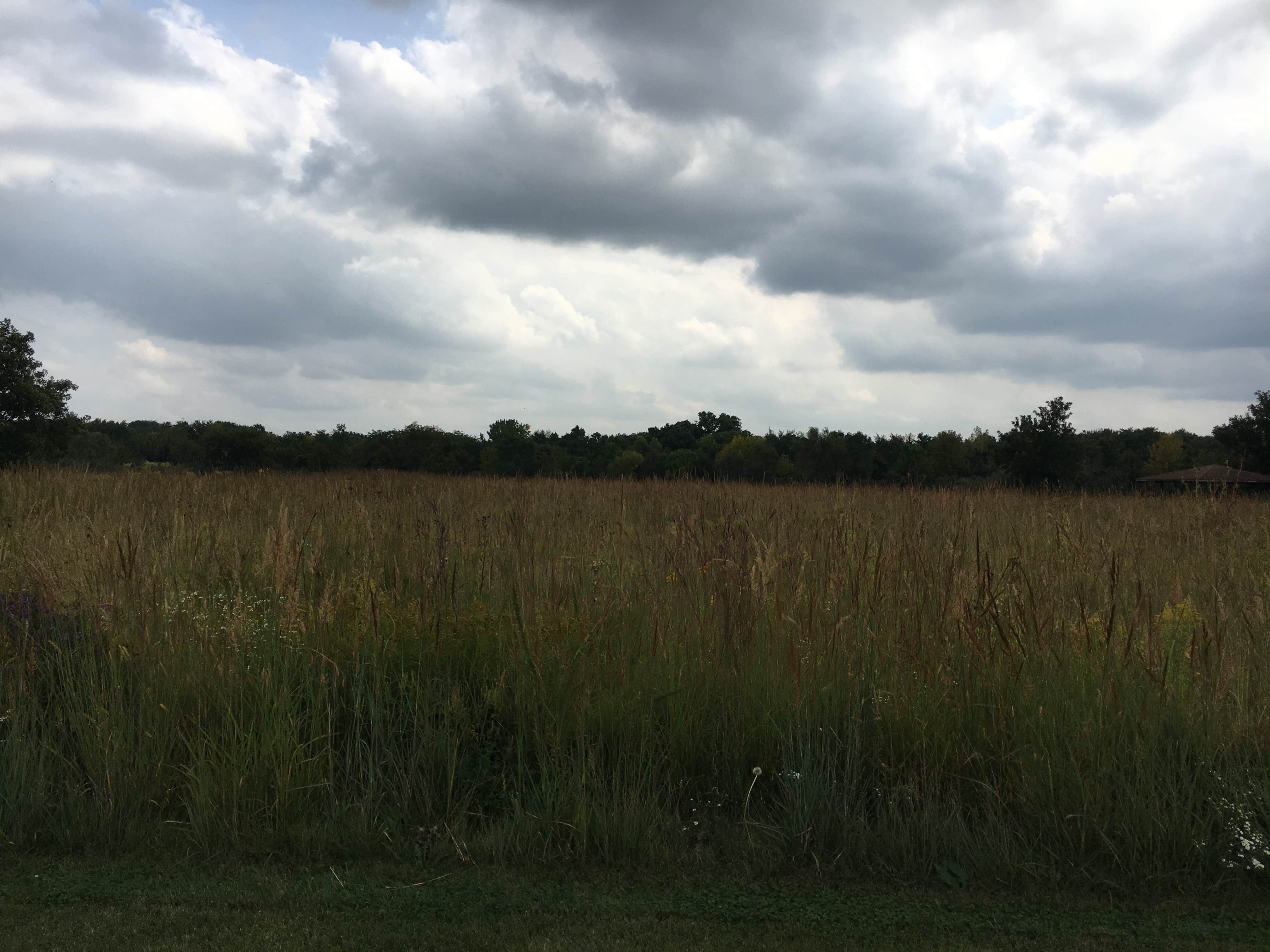 Camper submitted image from Prairie Flower Recreation Area - 2