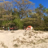 Review photo of Nordhouse Dunes Wilderness  by Nicole B., May 9, 2020