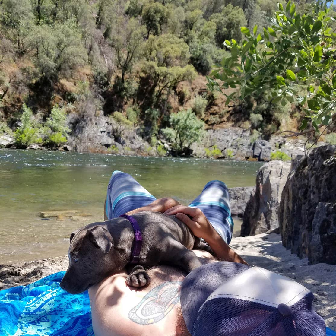 Railroad Flat Campground Camping The Dyrt