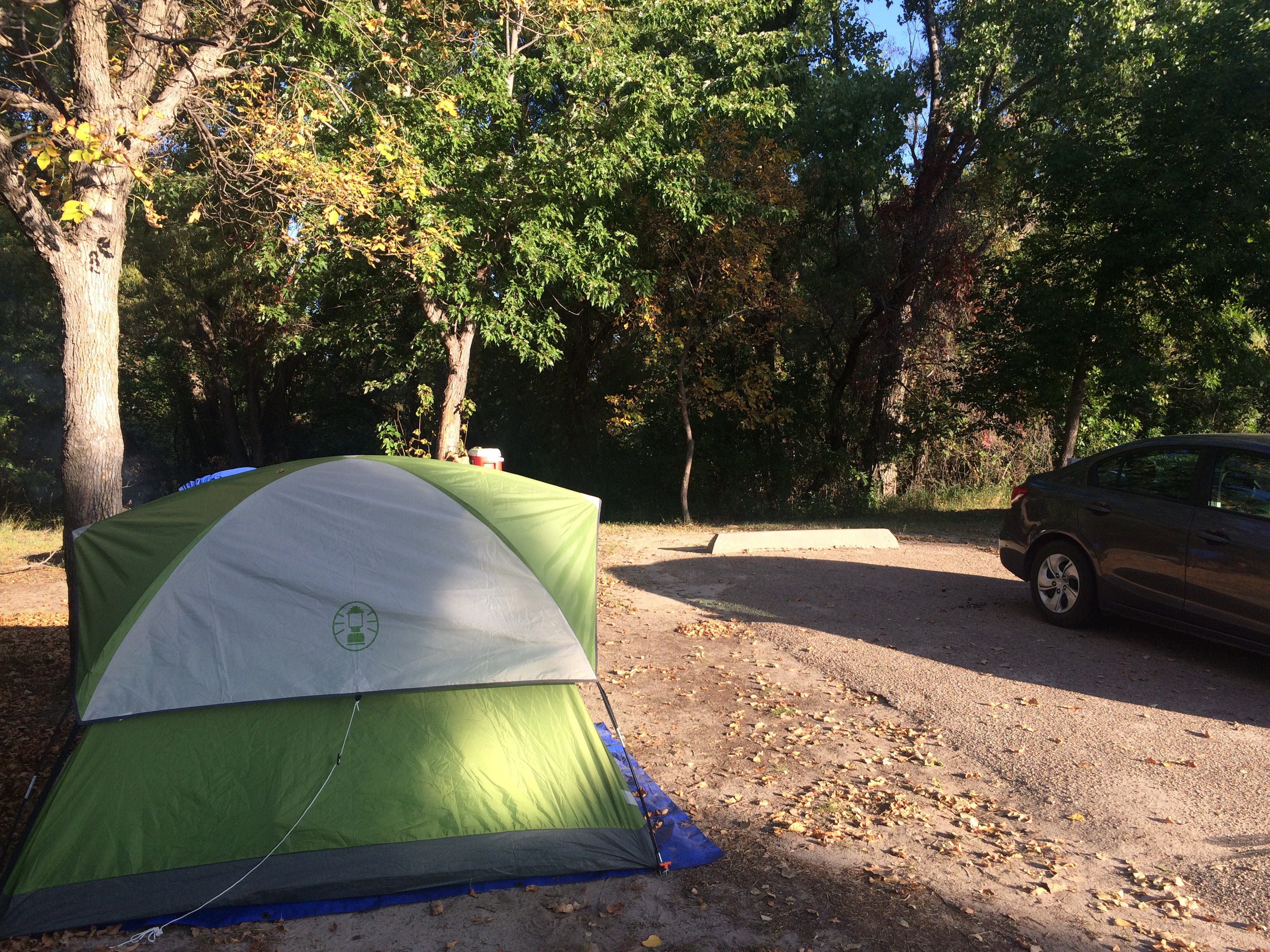 Camper submitted image from Nunda Shoal Campground - 2
