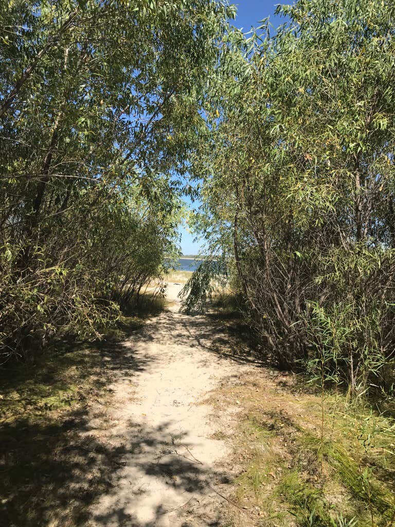 Camper submitted image from Nunda Shoal Campground - 1