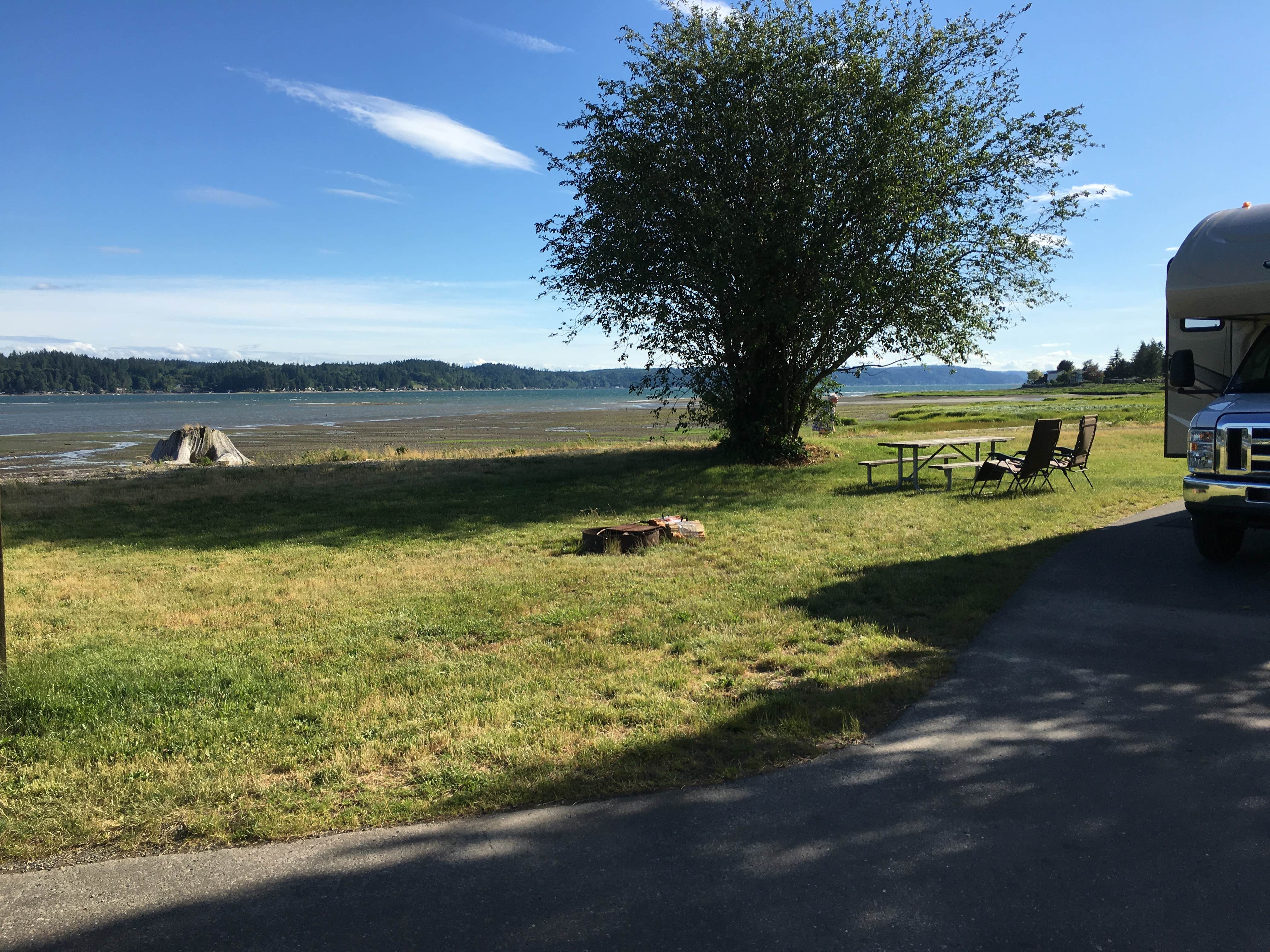 Camper submitted image from Belfair State Park Campground - 3