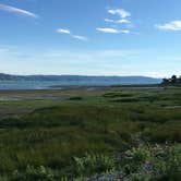 Review photo of Belfair State Park Campground by Colleen T., September 23, 2017