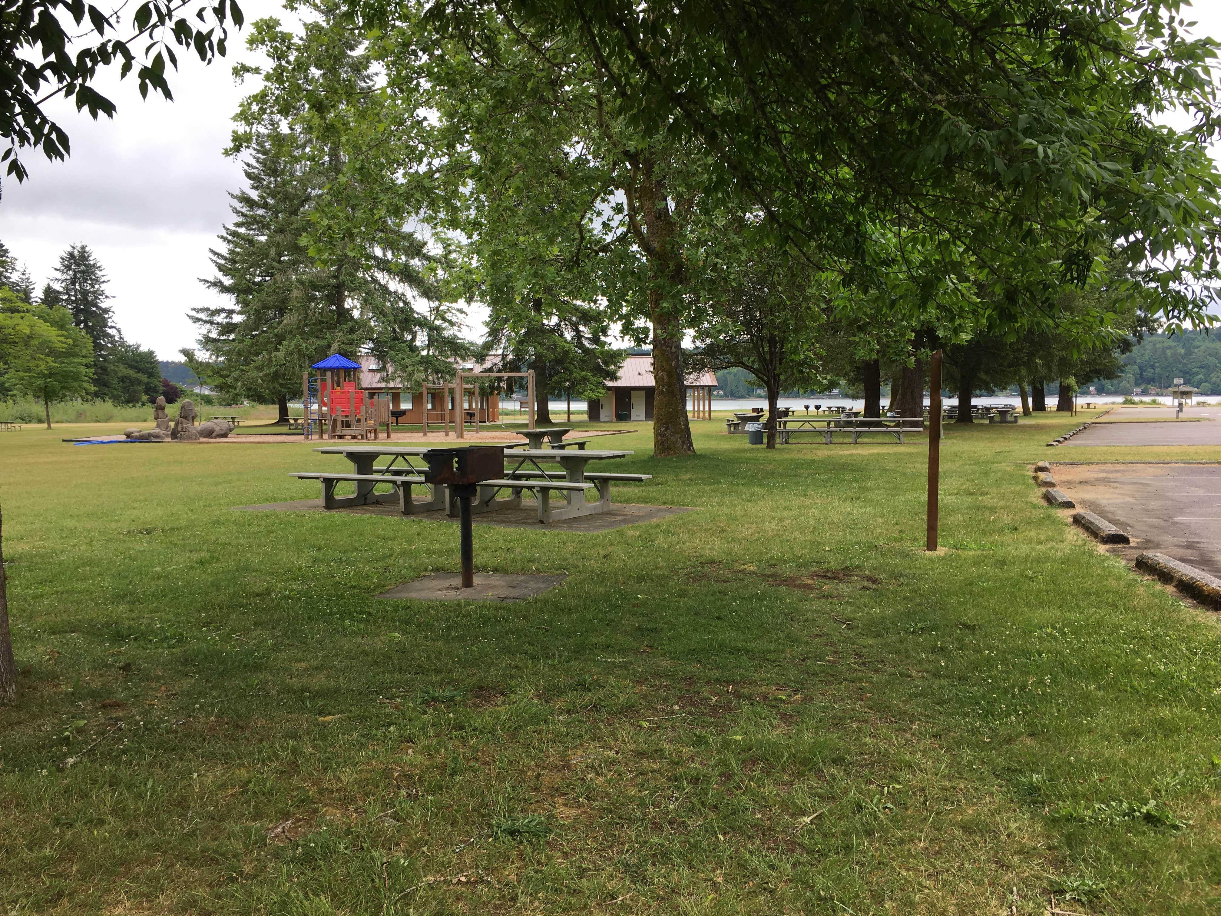 Camper submitted image from Belfair State Park Campground - 4