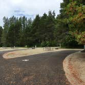 Review photo of Belfair State Park Campground by Colleen T., September 23, 2017