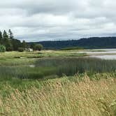 Review photo of Belfair State Park Campground by Colleen T., September 23, 2017