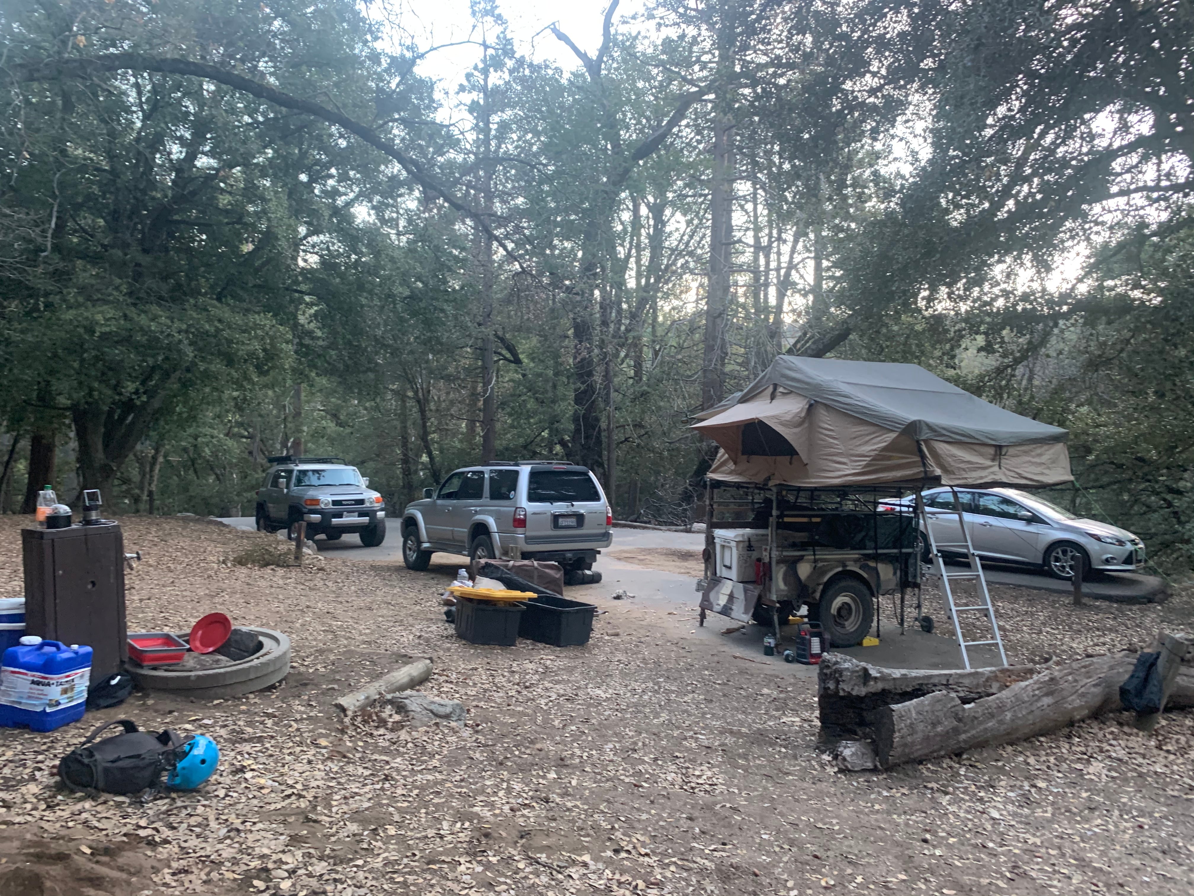 Camper submitted image from Palomar Mountain State Park Campground - 5
