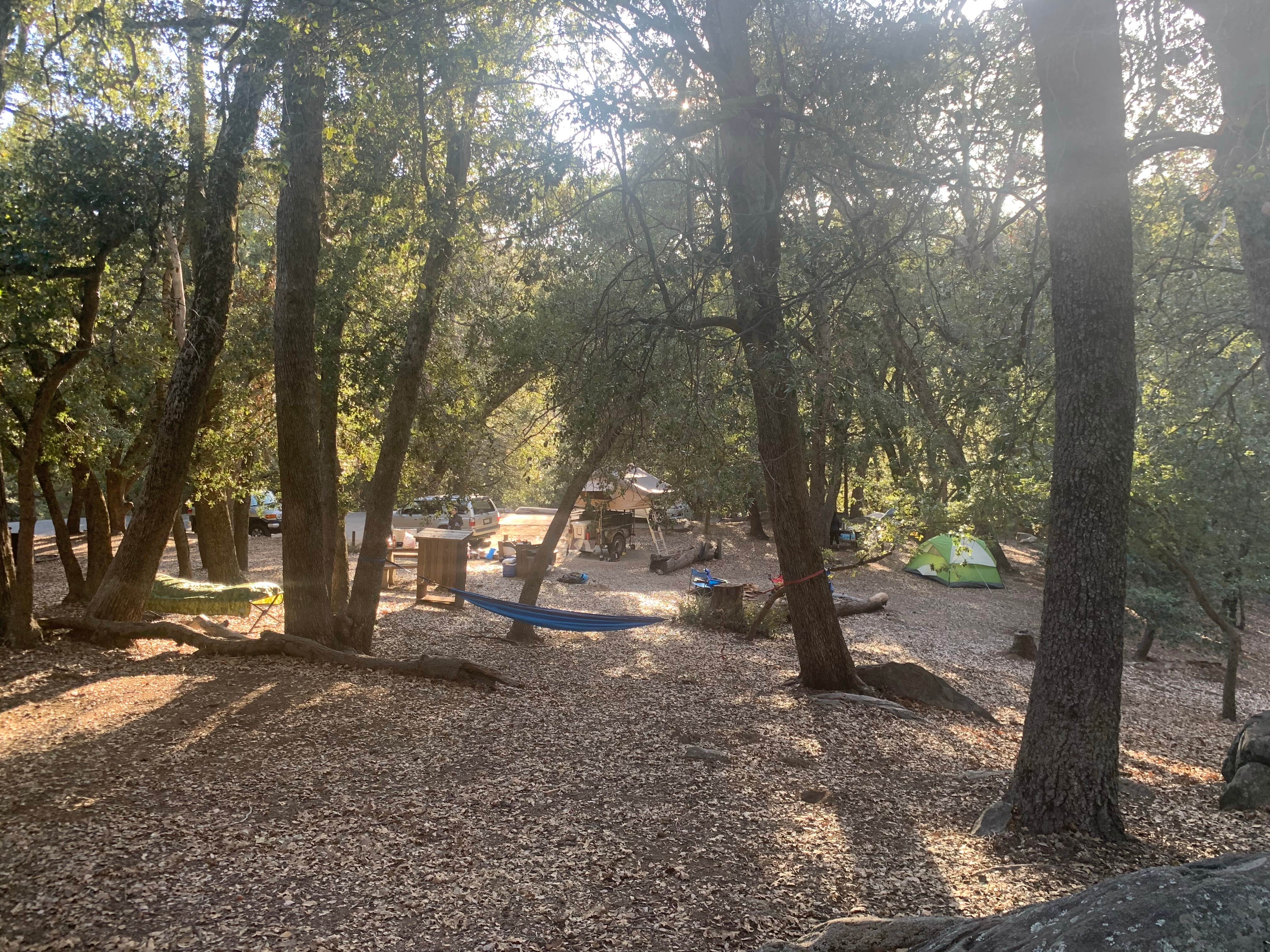 Mike H.'s photo at Palomar Mountain State Park Campground near Cleveland National Forest