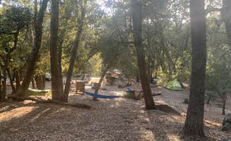 Mike H.'s photo at Palomar Mountain State Park Campground near Aguanga, CA