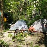 Review photo of Burnt Mill Bridge Loop by Katrin M., May 10, 2020