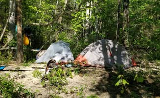 Katrin M.'s photo at Burnt Mill Bridge Loop near Robbins, TN