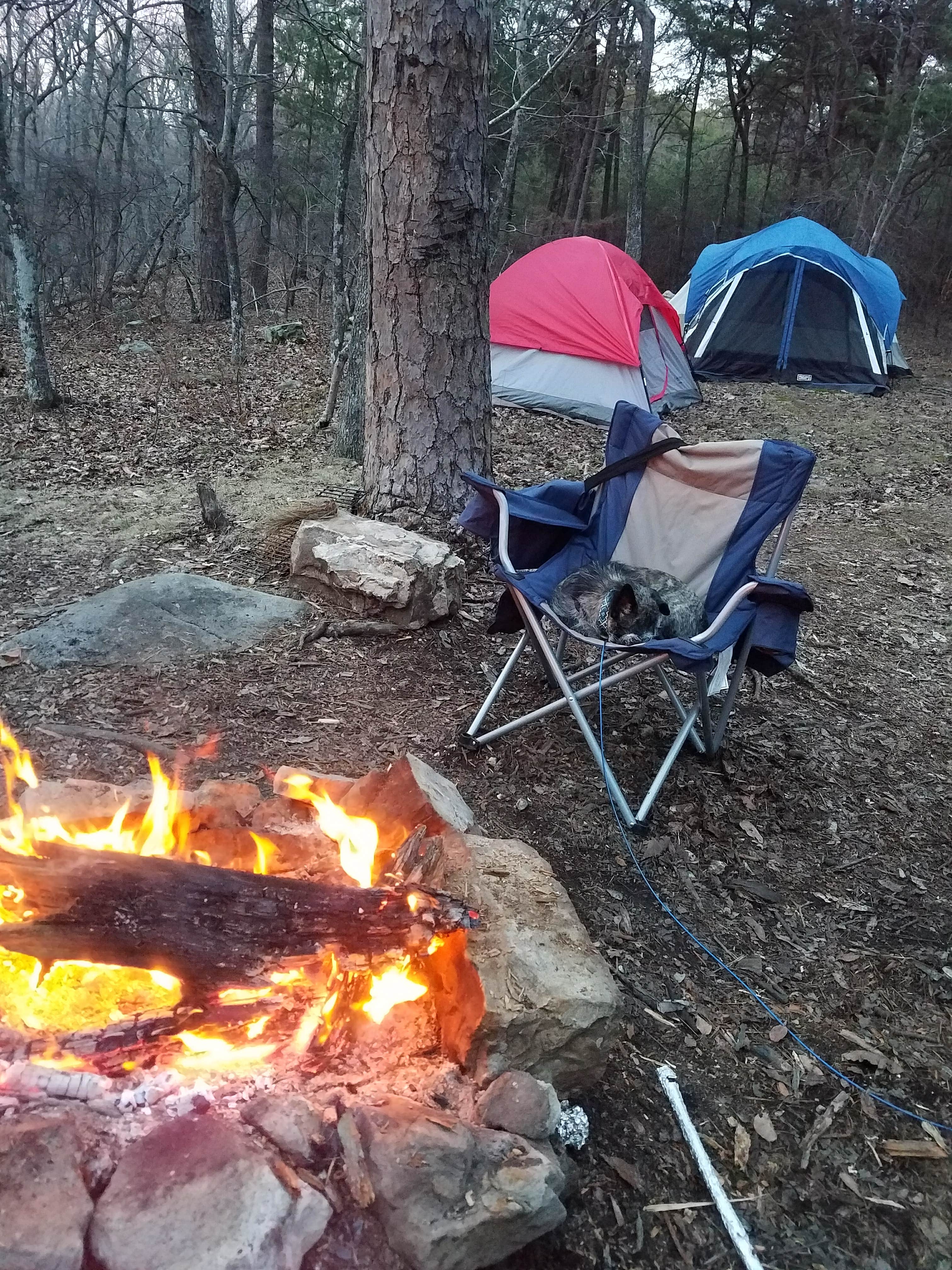 Anna W.'s photo at Desoto Falls near Cleveland, GA