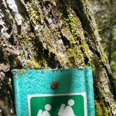 Review photo of Burnt Mill Bridge Loop by Katrin M., May 10, 2020