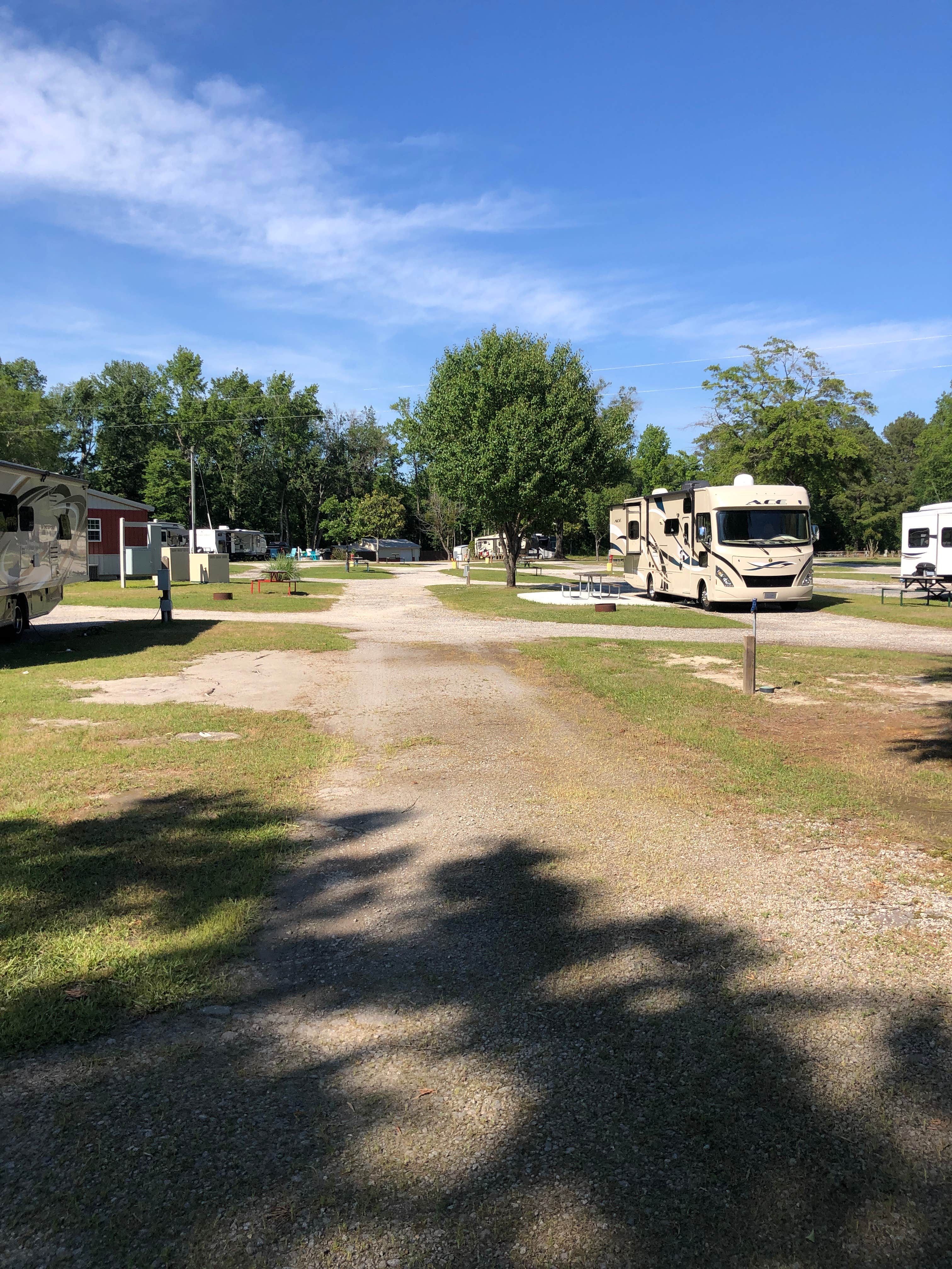 Camper submitted image from Lumberton I-95 KOA - 4