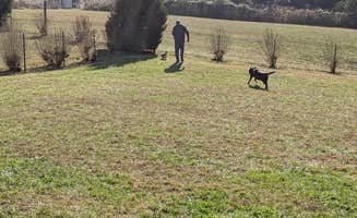 Brandie B.'s photo of camping with pets at Cave Country RV Campground near Mammoth Cave National Park