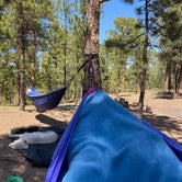 Review photo of Buffalo Creek Recreation Area by Ben B., May 11, 2020