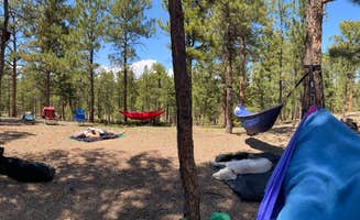 Ben B.'s photo at Buffalo Creek Recreation Area near Conifer, CO
