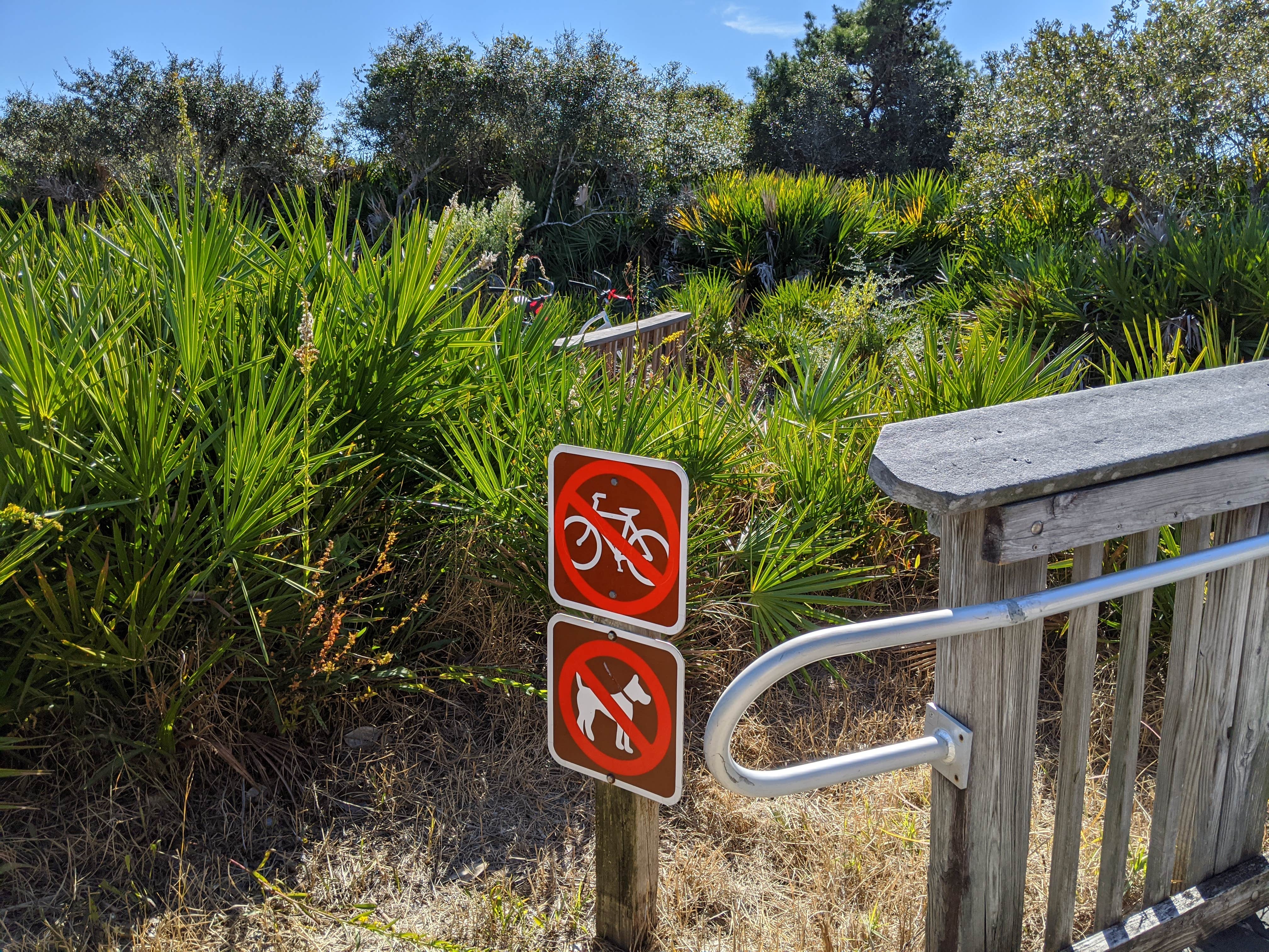 Camper submitted image from Topsail Hill Preserve State Park Campground - 5