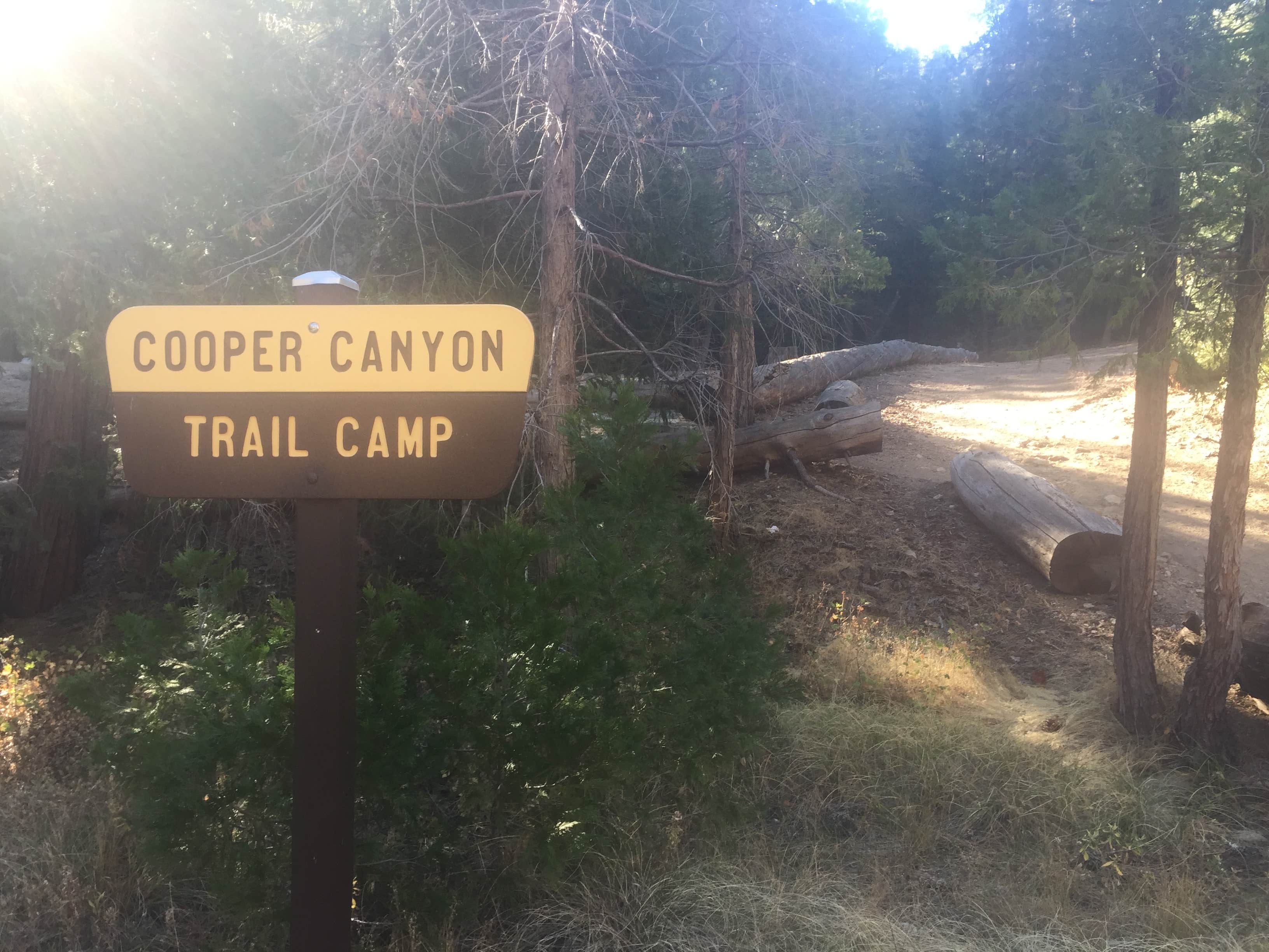 Cooper canyon trail outlet camp