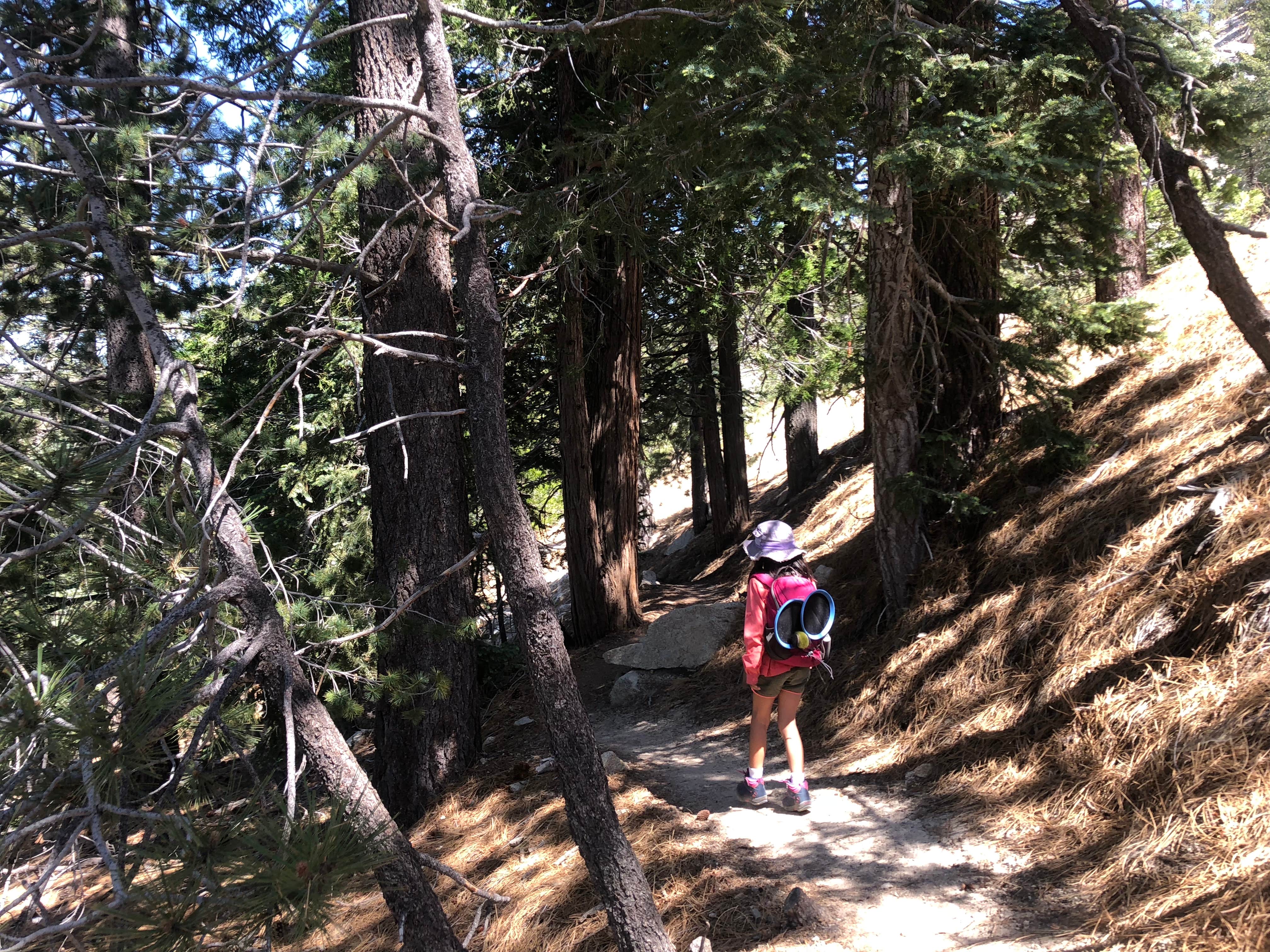Cooper Canyon Trail Campground