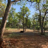Review photo of Lassen RV Park Campground by Karen N., May 11, 2020
