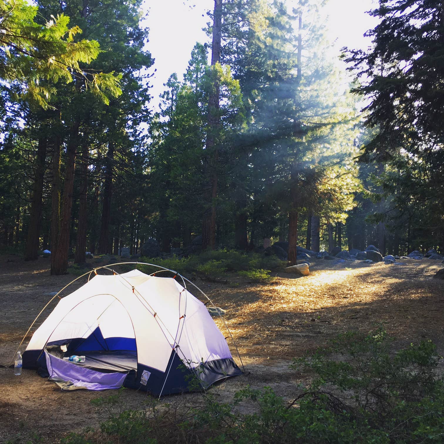Camper submitted image from Pinecrest Campground - 5