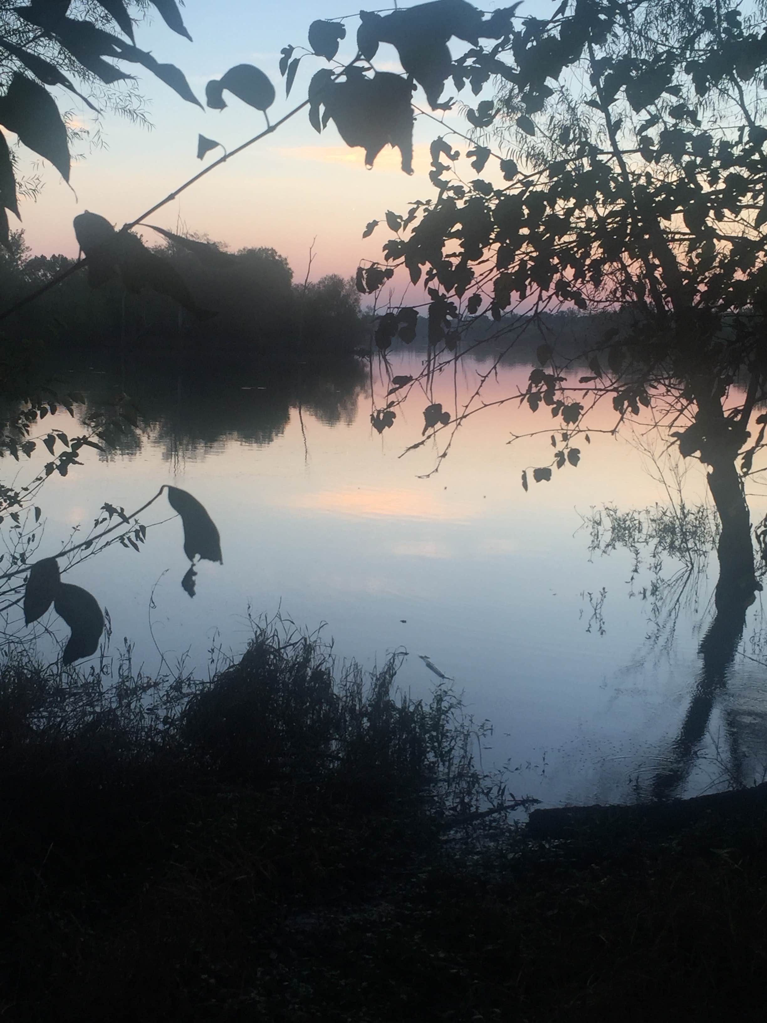 Camper submitted image from Scott Creek Campground - 1