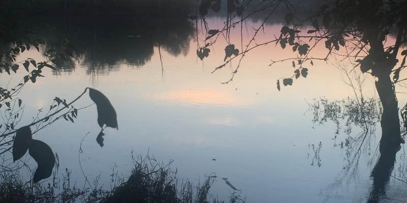 Camper submitted image from Scott Creek Campground — Hillsdale State Park