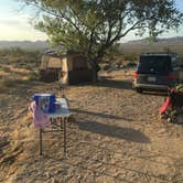 Review photo of Joshua Tree South - BLM Dispersed by Cody B., May 11, 2020