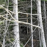 Review photo of Lake Superior State Forest Campground by Madison D., May 11, 2020