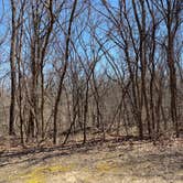 Review photo of Weston Bend State Park Campground by Chad Z., May 11, 2020